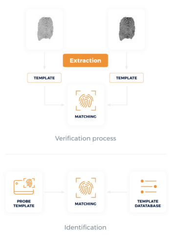 Proceso de verificación e identificación de huellas dactilares